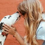 best apps for dog trainers